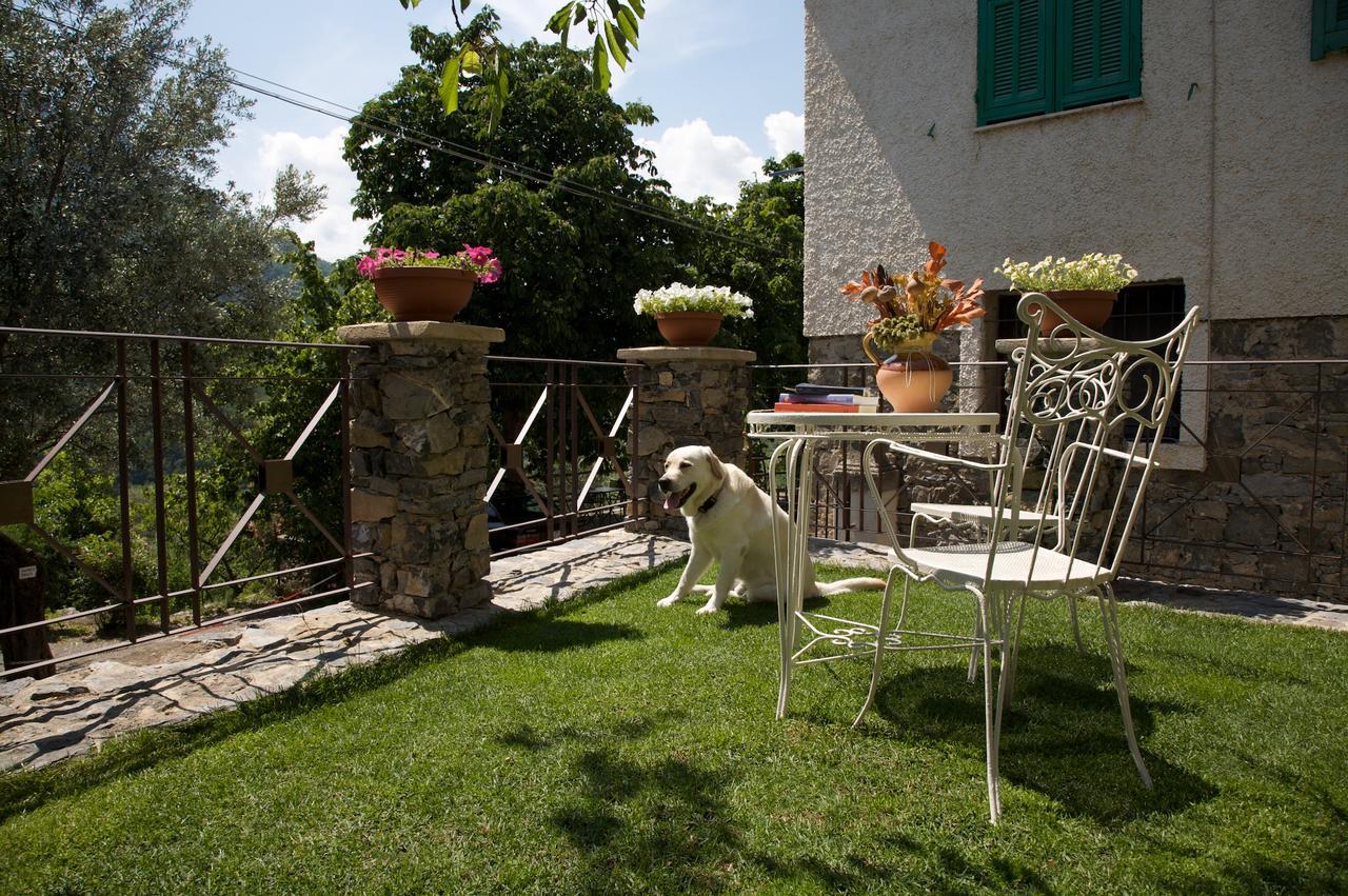 La Casa Dei Nonni Castelbianco Bed & Breakfast Colletta Ngoại thất bức ảnh