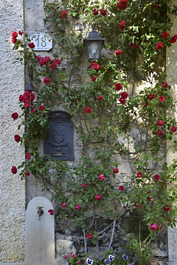 La Casa Dei Nonni Castelbianco Bed & Breakfast Colletta Ngoại thất bức ảnh
