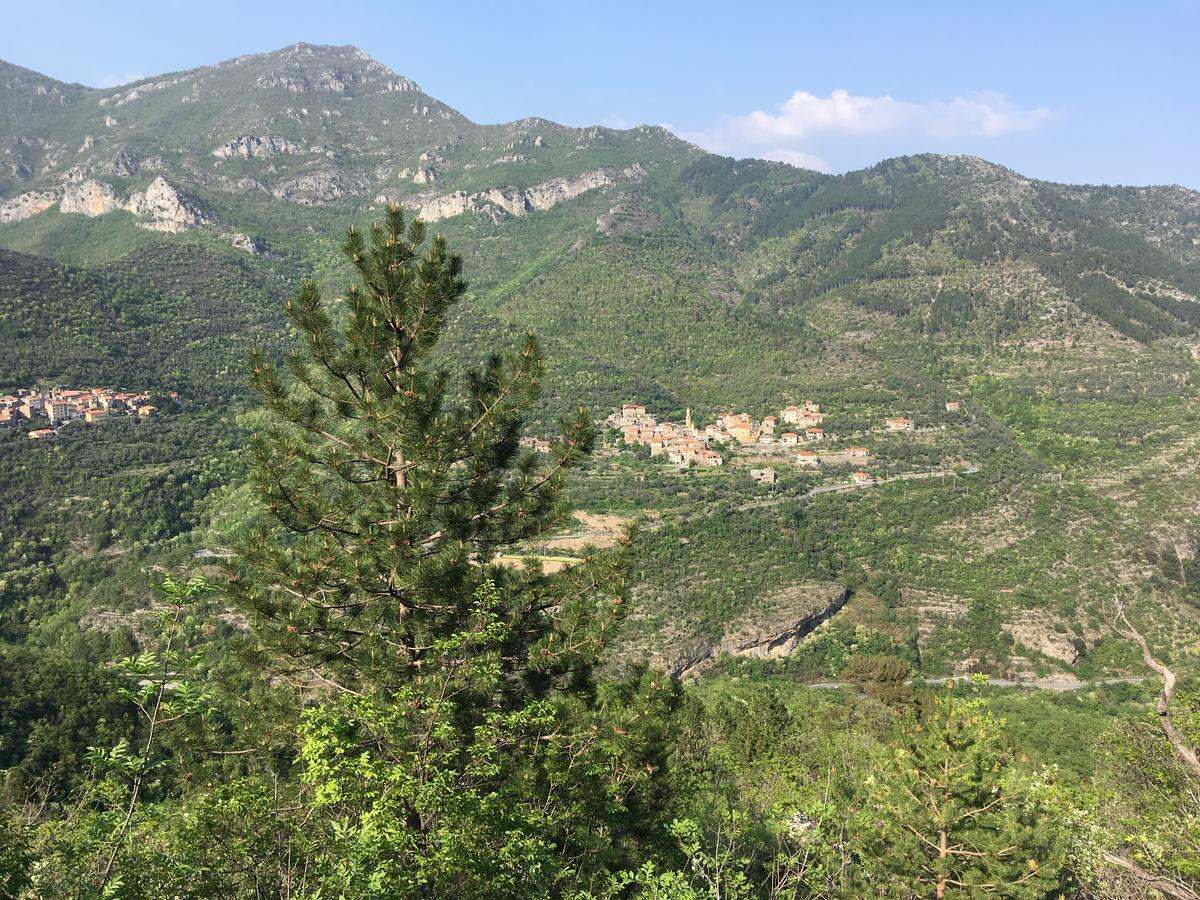 La Casa Dei Nonni Castelbianco Bed & Breakfast Colletta Ngoại thất bức ảnh